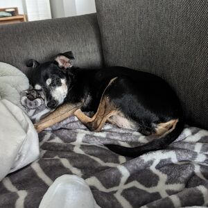 **ACCEPTING REASONABLE OFFERS**